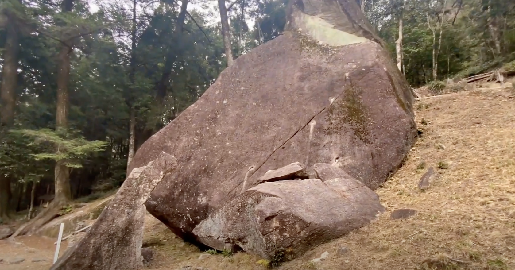 Forget the Temples: A Gonzo Journey into the Stone Heart of Japan